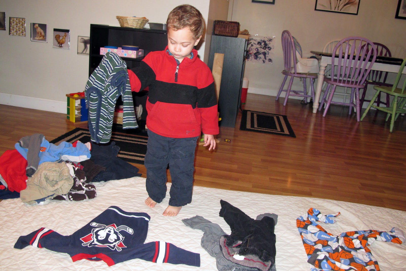 Peaceful Parenting The Importance of Sorting Activities Why & How