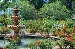 Gone Gardening Harry P Leu Gardens Located In Orlando Florida The Harry P Leu Gardens Contain Fifty Acres Of Ancient Oak Trees Camellias And Giant Camphors Fact It Has Largest