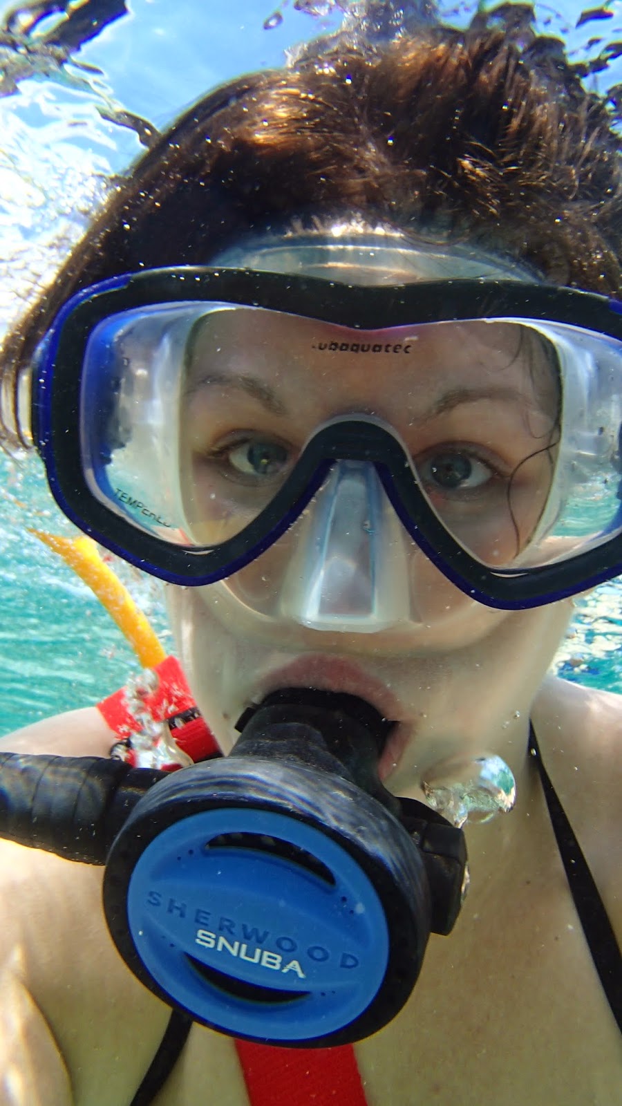 Pies Etc. SNUBA the beautiful love child of scuba and snorkel