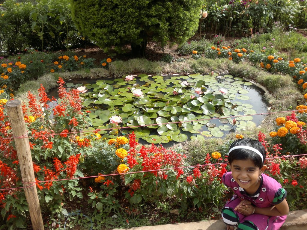 Munnar Flower Garden TravelersOutlook Travelers Photo Gallery