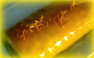 Brazo de gitano de naranja Brazo de gitano de naranja