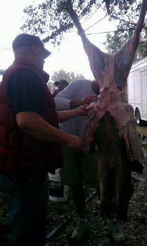 Butchering A Pig