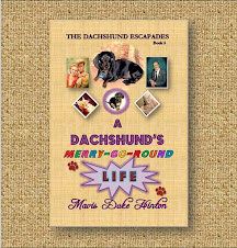 A DACHSHUND'S MERRY-GO-ROUND LIFE - Book 5