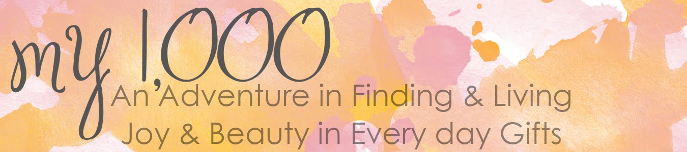 My 1,000 - An Adventure in Finding & Living