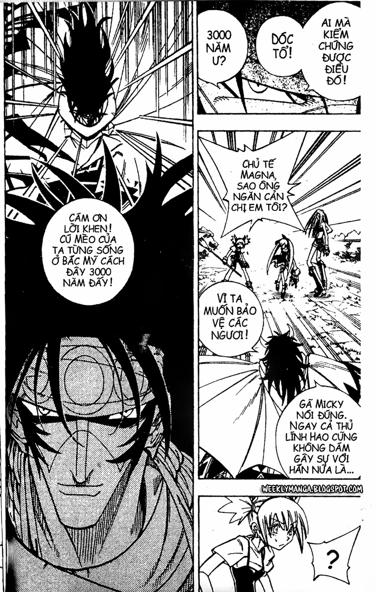 Shaman King [Vua pháp thuật]