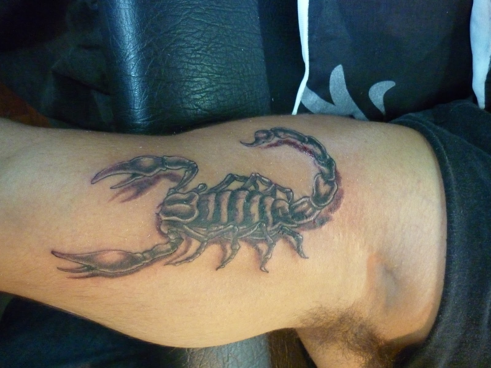 fenix fenix