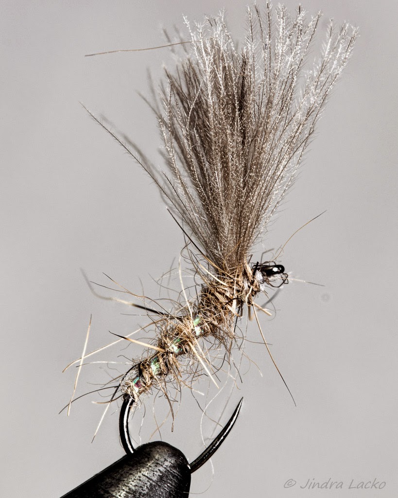 Grayling on the Fly February 2015