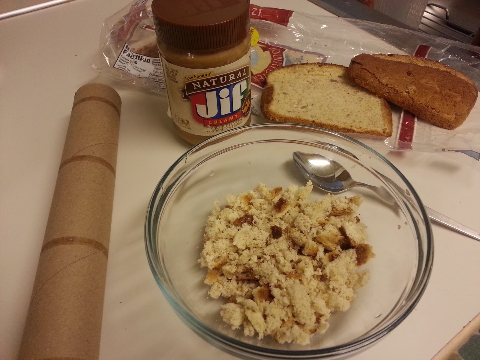 Paper Towel Roll Bird Feeder...Messy Fun! Aunt Diva