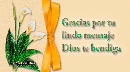 Resultado de imagen para gracias POR TU MENSAJE