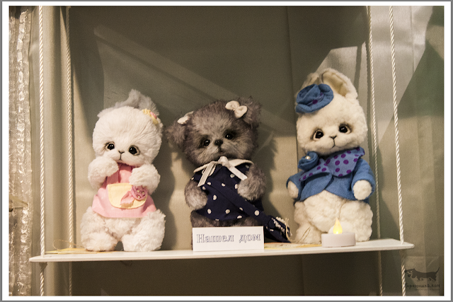 Hello Teddy 2013