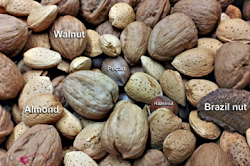 Eating nuts reduces colesteral, coronary heart desceas, and more