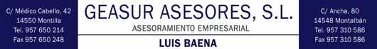 GEASUR ASESORES