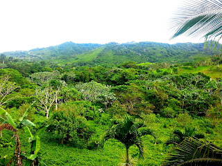Dominican Republic Trip