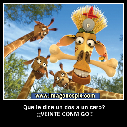 Imágenes Divertidas Solo Para Publicar En tu Muro - imagenes con frases chistosas para mi muro