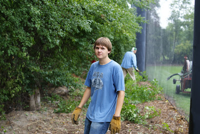 Buckthorn removal Kyle