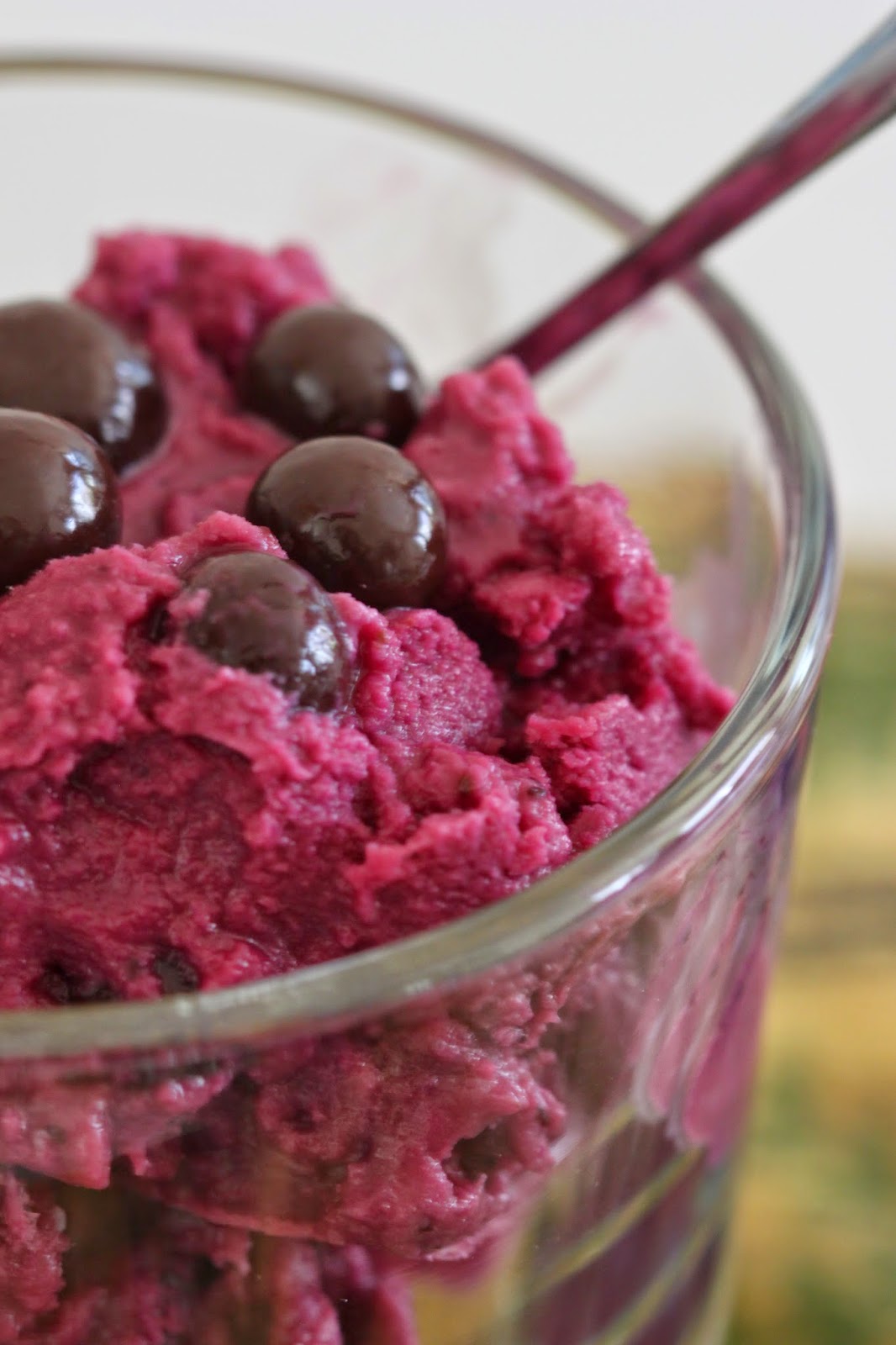 Tortillas and Honey Blueberry Frozen Yogurt with Chocolate Covered Blueberries