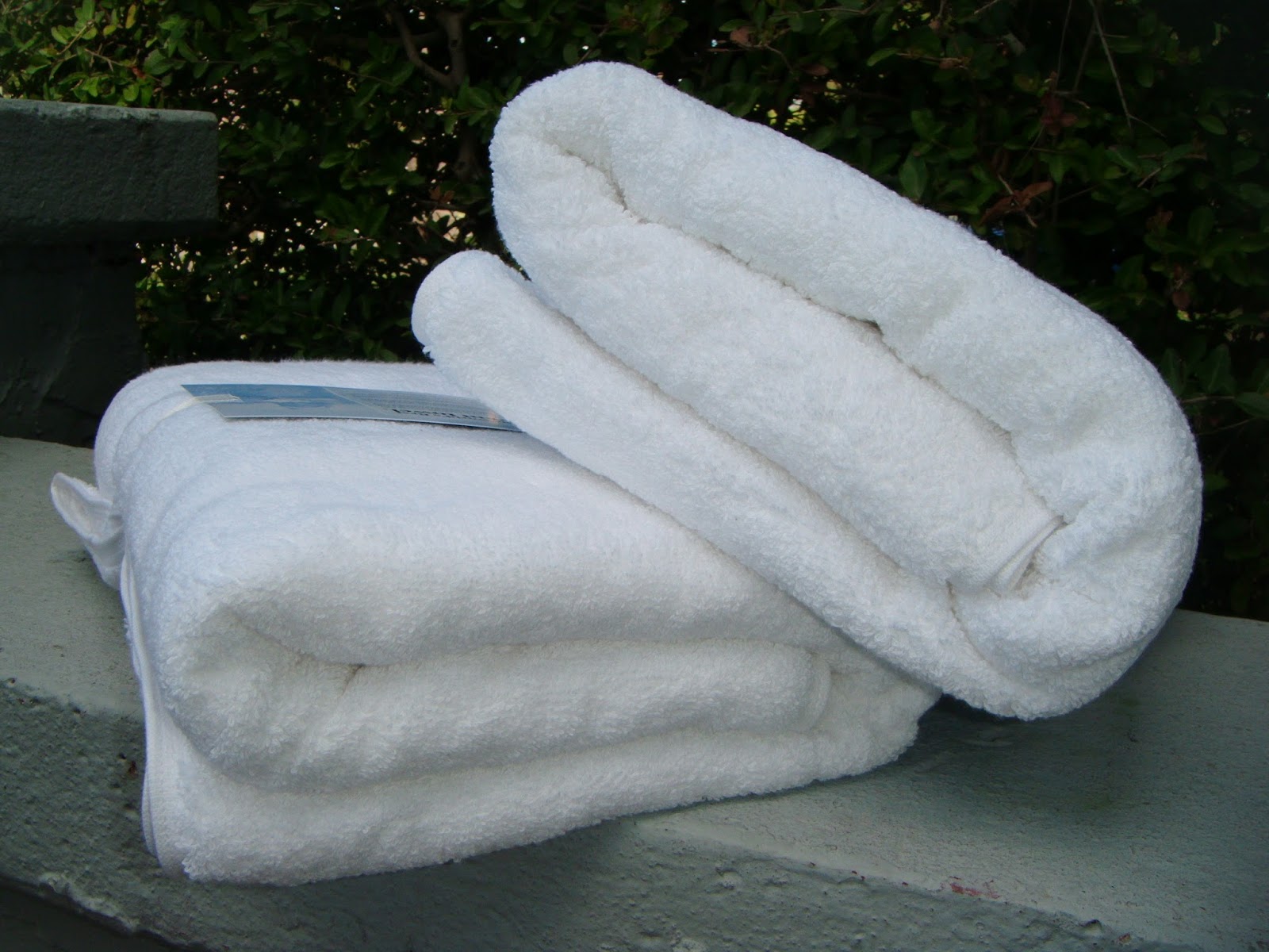 The ABCD Diaries Boll & Branch Adds Amazingly Luxurious Towels to the