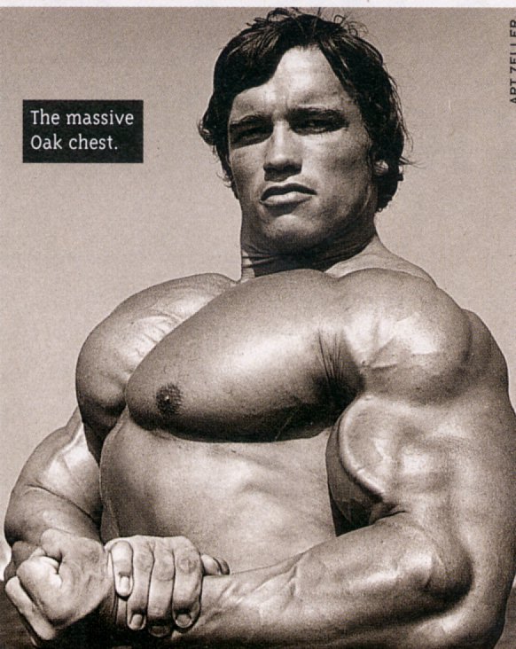 Arnold Schwarzenegger Pictures And Bio Arnold Schwarzenegger