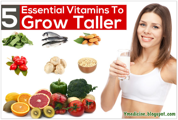 Foods necessary for the growth taller Foods necessary for the growth taller