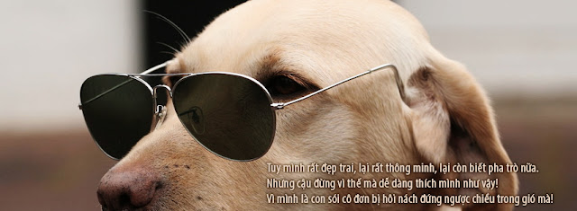 Tổng hợp Các Mẫu ảnh bìa Facebook Timeline đẹp Anh_bia_dep_cho_facebook_10_5_2013_35