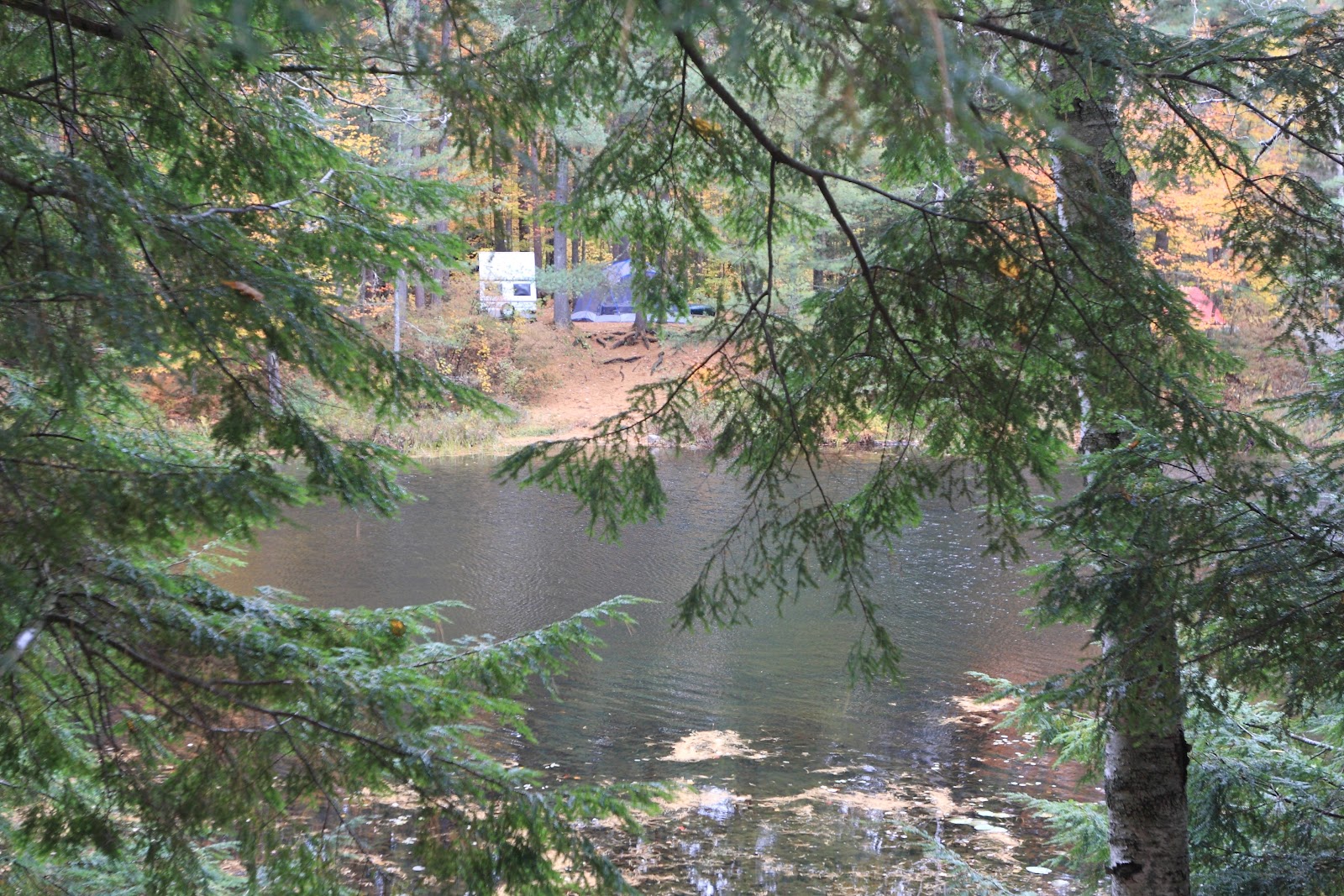 The Campsites Fish Creek Pond NY DEC Campground, site C5