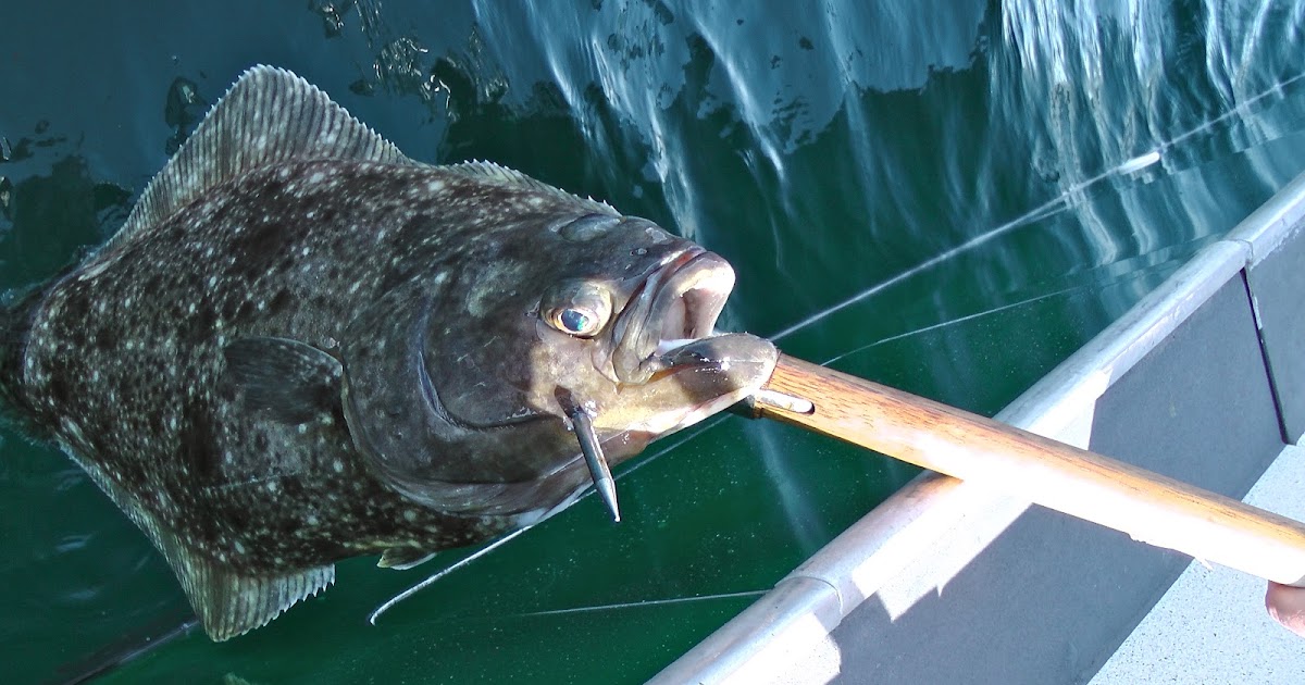 The Baked Alaska Project Halibut Olympia