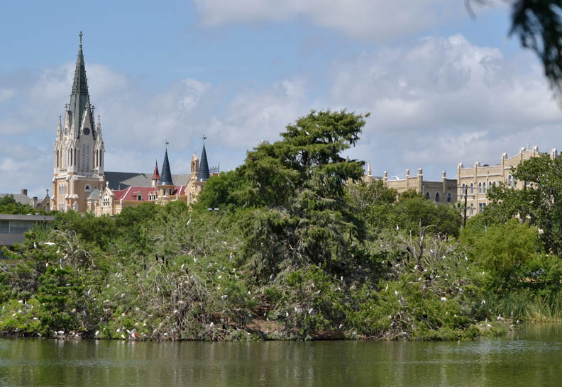 While On A Walk Elmendorf Lake Park; A Critical Ecological Resource*