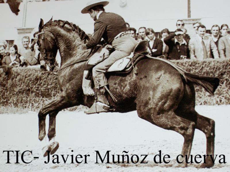 TIC Javier Muñoz de Cuerva