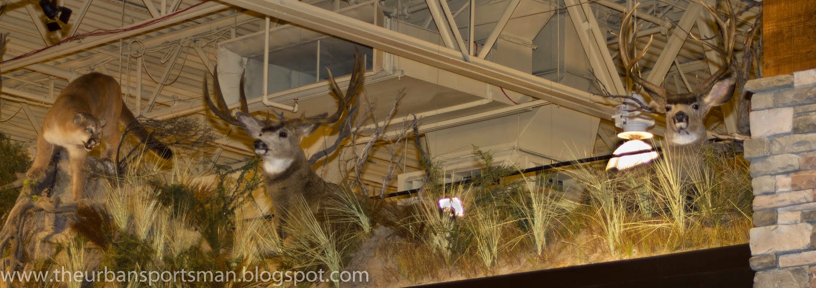 The Urban Sportsman A Quick Visit to the New Field & Stream Store In