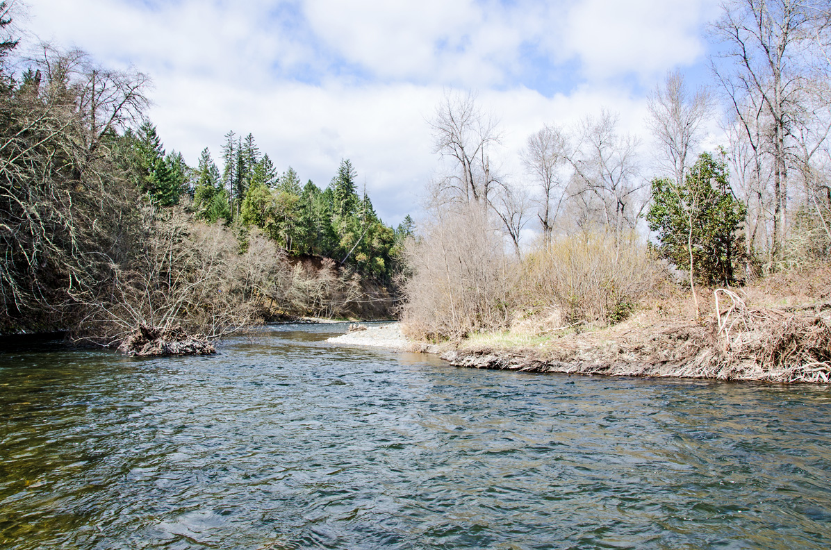 Steelhead Fishing on the Applegate River Travel Adventure
