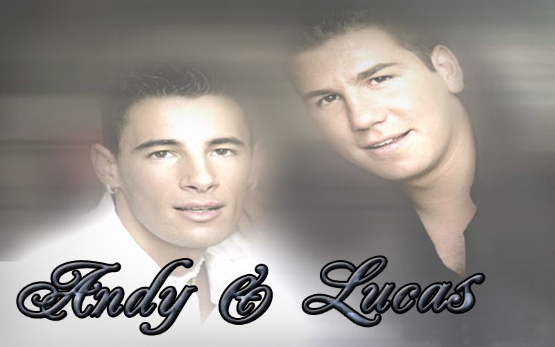 DISCOS DE ANDY Y LUCAS discos de andy y lucas: