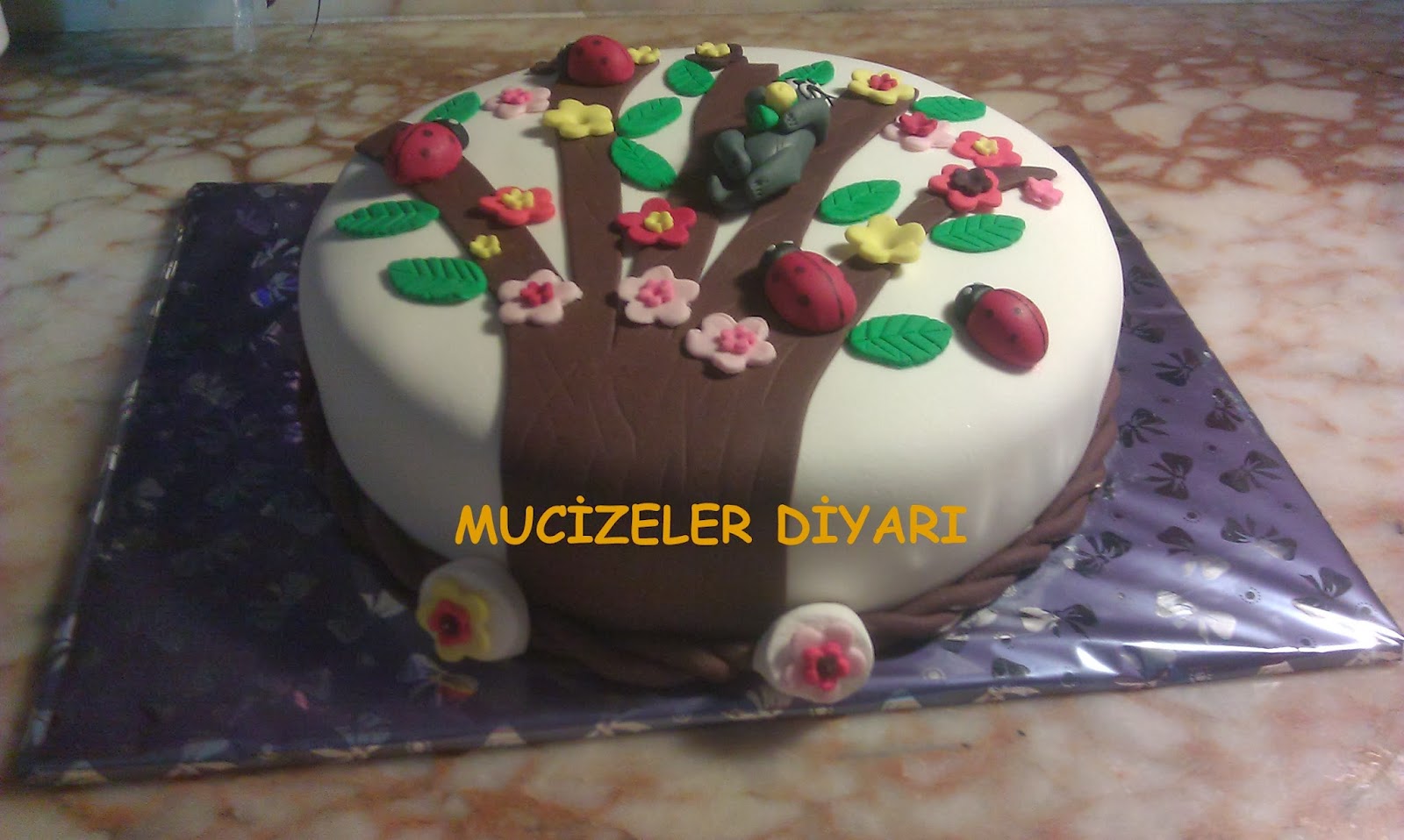 Mucizeler Diyarı KEDİLİ PASTA