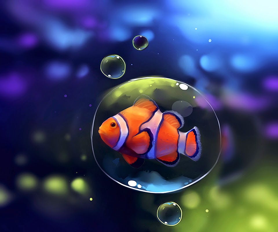 Desktop HD Wallpapers Free Downloads: Clown Fish HD Wallpapers