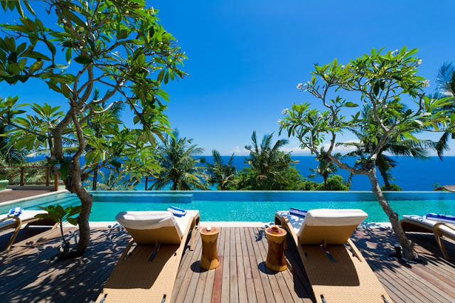 Picture of the ocean view through exotic vegetation from the pool area terrace