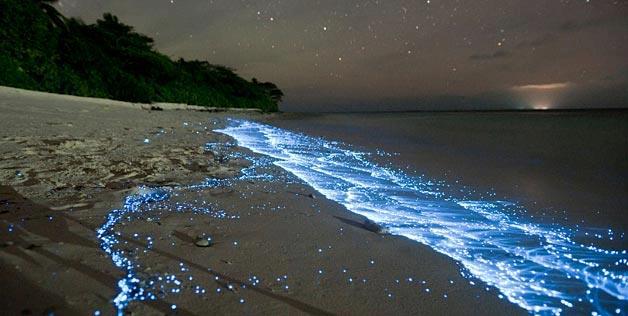 Lago brilla en la oscuridad en Australia Bioriscencia+playa