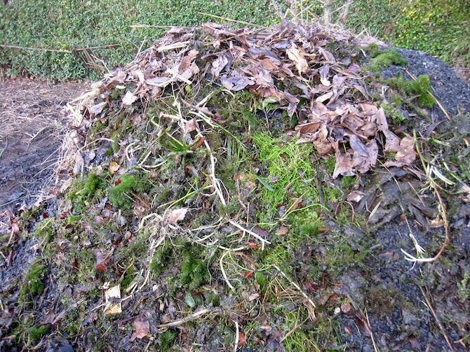 Roger Brook the no dig gardener Charcoal as an ingredient in compost