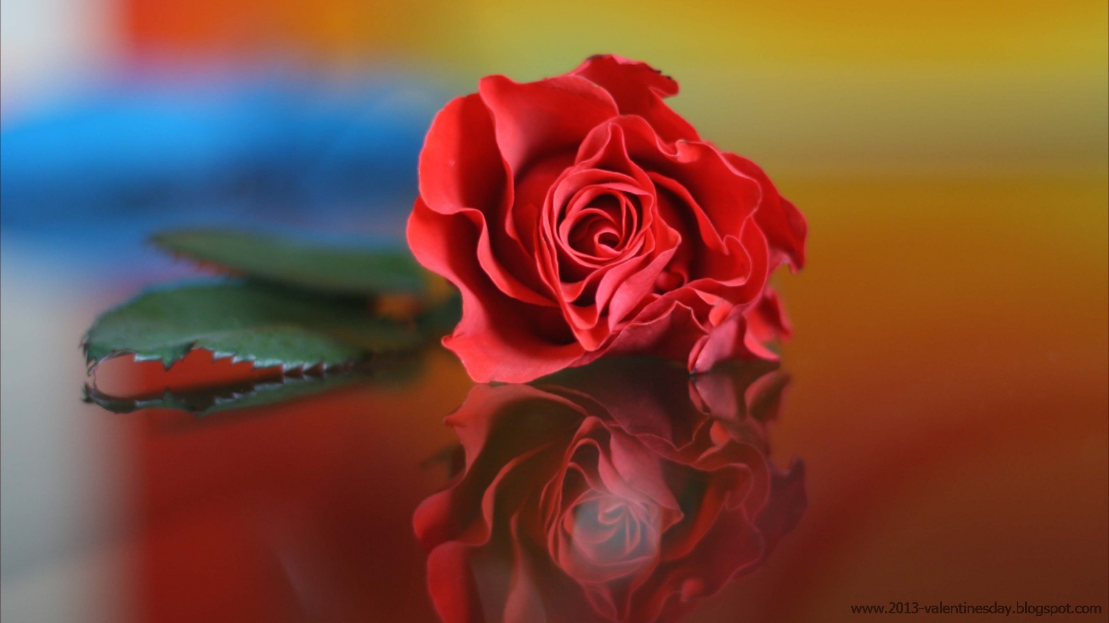 my quotes new latest happy rose day 2013 hd wallpapers