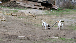 Each holding an end, they run away Each holding an end, they run away