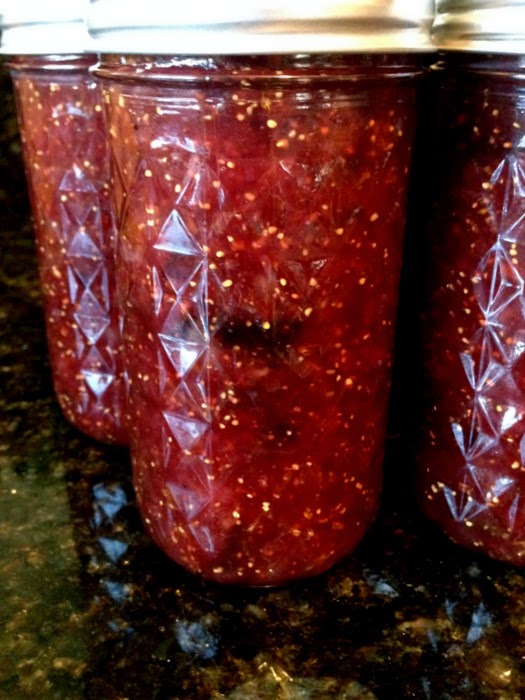 Savory Fig and Sweet Onion Freezer Jam