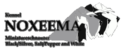 Kennel noxeema