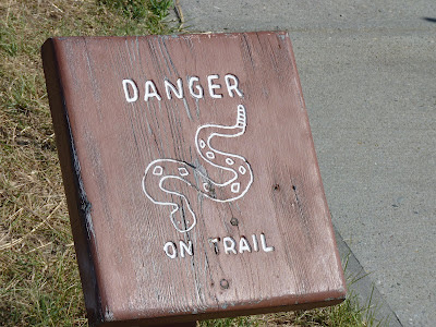 snake!