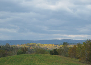 Sunlit yellow leaves on a distant hillside under a gray sky in Virginia