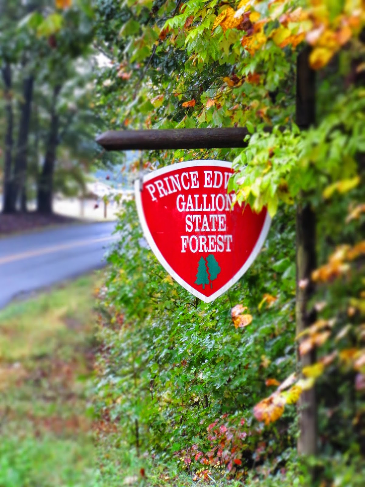 A Sudden Change in Plans Turned into a Great Family Adventure (I love