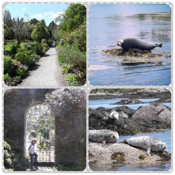 CherrySue, Doin' the Do Garnish Island, West Cork The Most Amazing