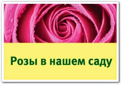 видео Розы в вашем саду Розы в вашем саду видео