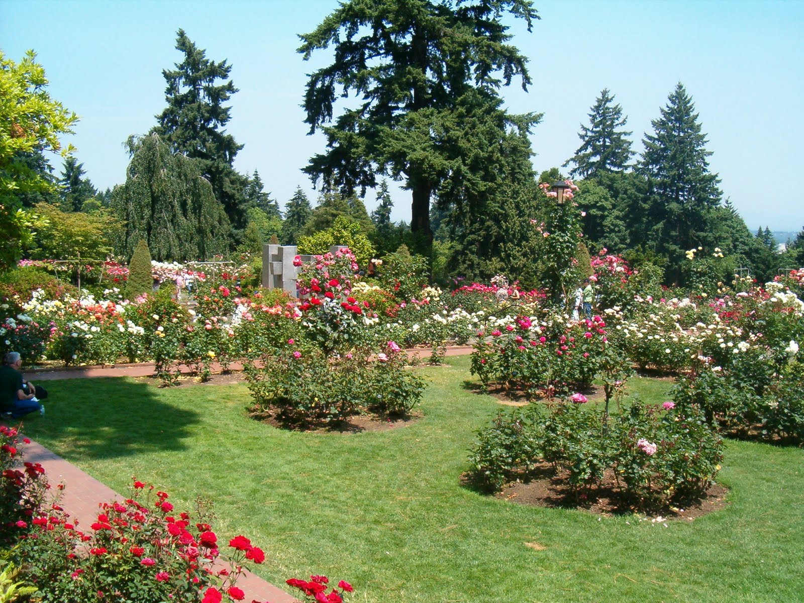 Julie's Journeys Portland, Oregon International Rose Test Garden
