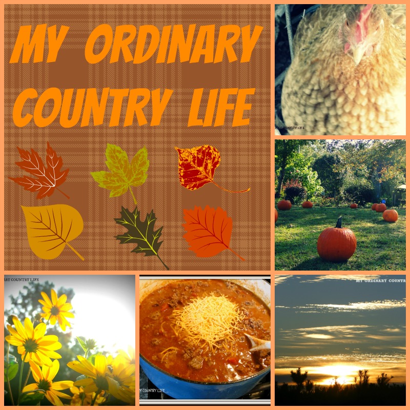 MY ORDINARY COUNTRY LIFE