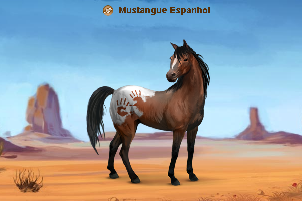 Ver fotos de cavalos selvagem 96 Ver fotos de cavalos selvagem 88