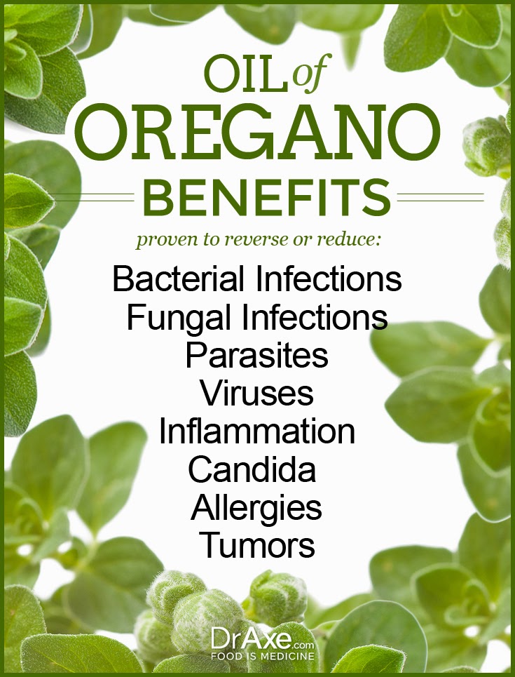Oregano oil superior to antiboitics