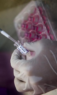 OMS espera tener una vacuna para el coronavirus a principios de 2021